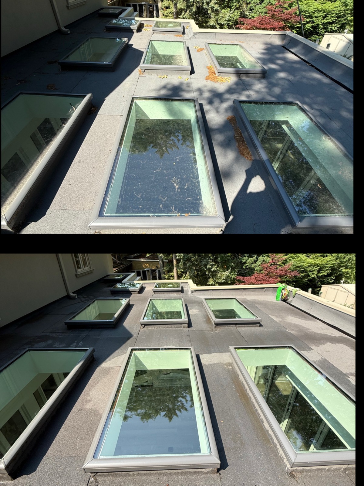 Before and after window detail